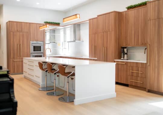 Sleek and Chic Kitchen